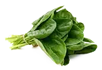 220mg N1o1 Proprietary Blend: