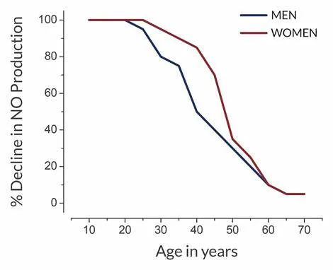 The Decline of Nitric Oxide With Age