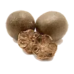 Monk Fruit Extract